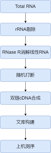 circRNA实验流程.png
