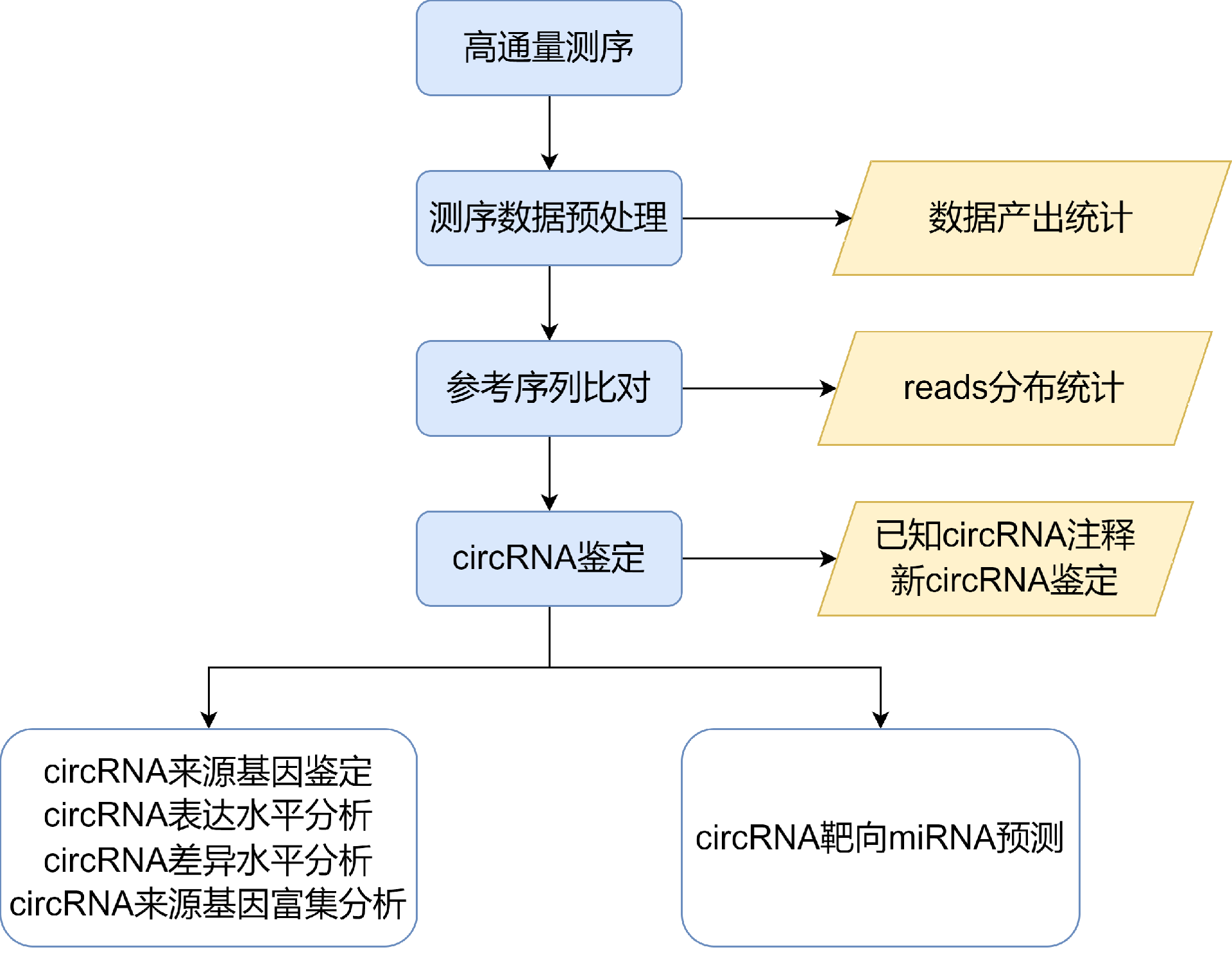circRNA分析流程.png
